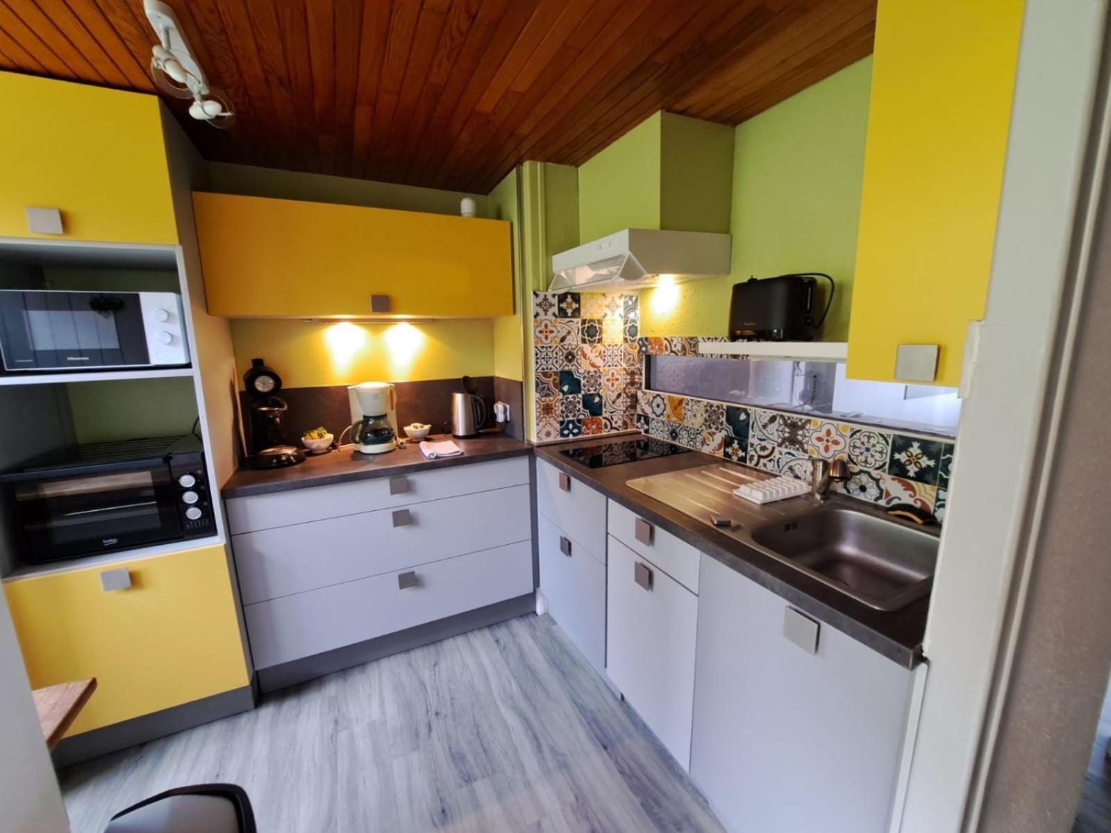 Appartement Duplex Avec Vue Sur Le Sancy Et Garage Couvert Murat-le-Quaire Eksteriør billede