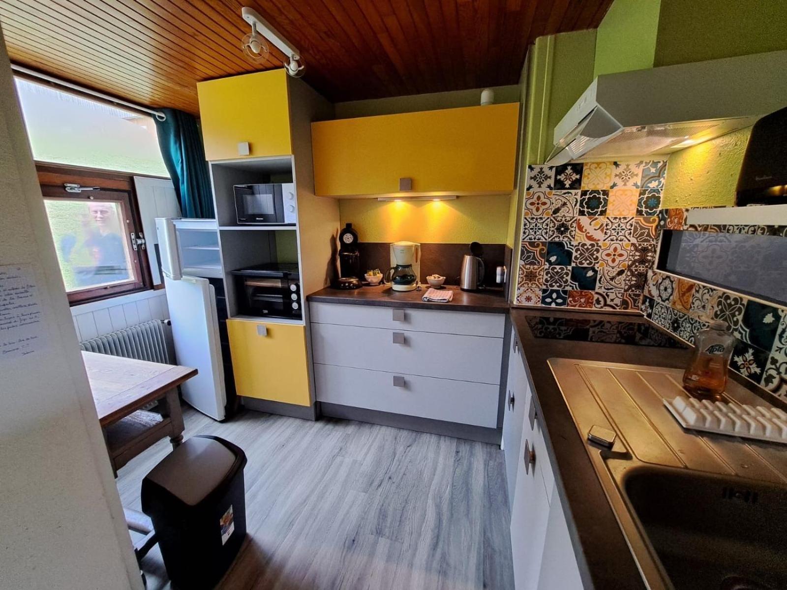 Appartement Duplex Avec Vue Sur Le Sancy Et Garage Couvert Murat-le-Quaire Eksteriør billede